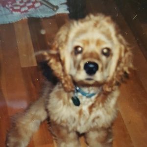 Meet your Posher, Kelly